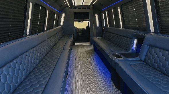 Thousand Oaks 28 passenger party bus interior